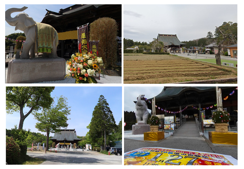 日本一の開運寺、長福寿寺の「ゾウくん」が金運爆上げ術を公開！